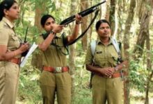 Photo of CG Forest Guard Admit Card 2022 | छत्तीसगढ़ फॉरेस्ट गार्ड एडमिट कार्ड 2022