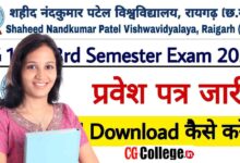 Photo of Download Admit Card Semester Exam SNAP 2022-23 : शहीद नंदकुमार पटेल विश्वविद्यालय रायगढ़